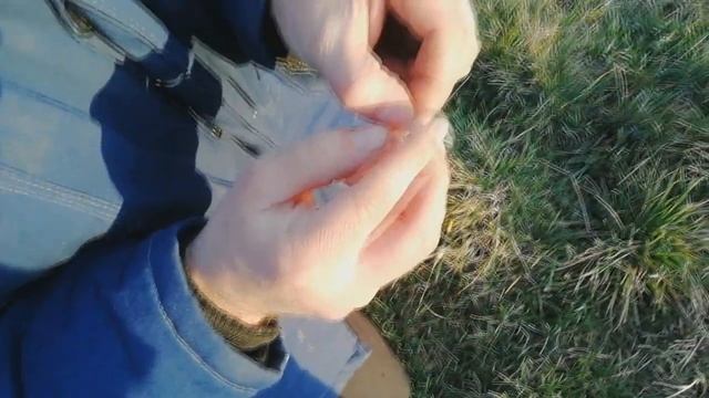 рыбья чешуя #счастье смотреть онлайн