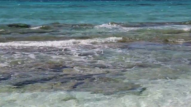 Tuvalu Funafuti conservation area Ile paradisiaque Tepuka / Tuvalu Funafuti Tepuka island смотреть онлайн