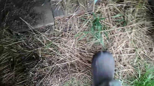 Прощай деревня , прощай хозяйство .. переезд. Потрачено смотреть онлайн