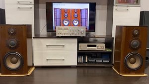 Акустическая система Diatone DS-1000ZX