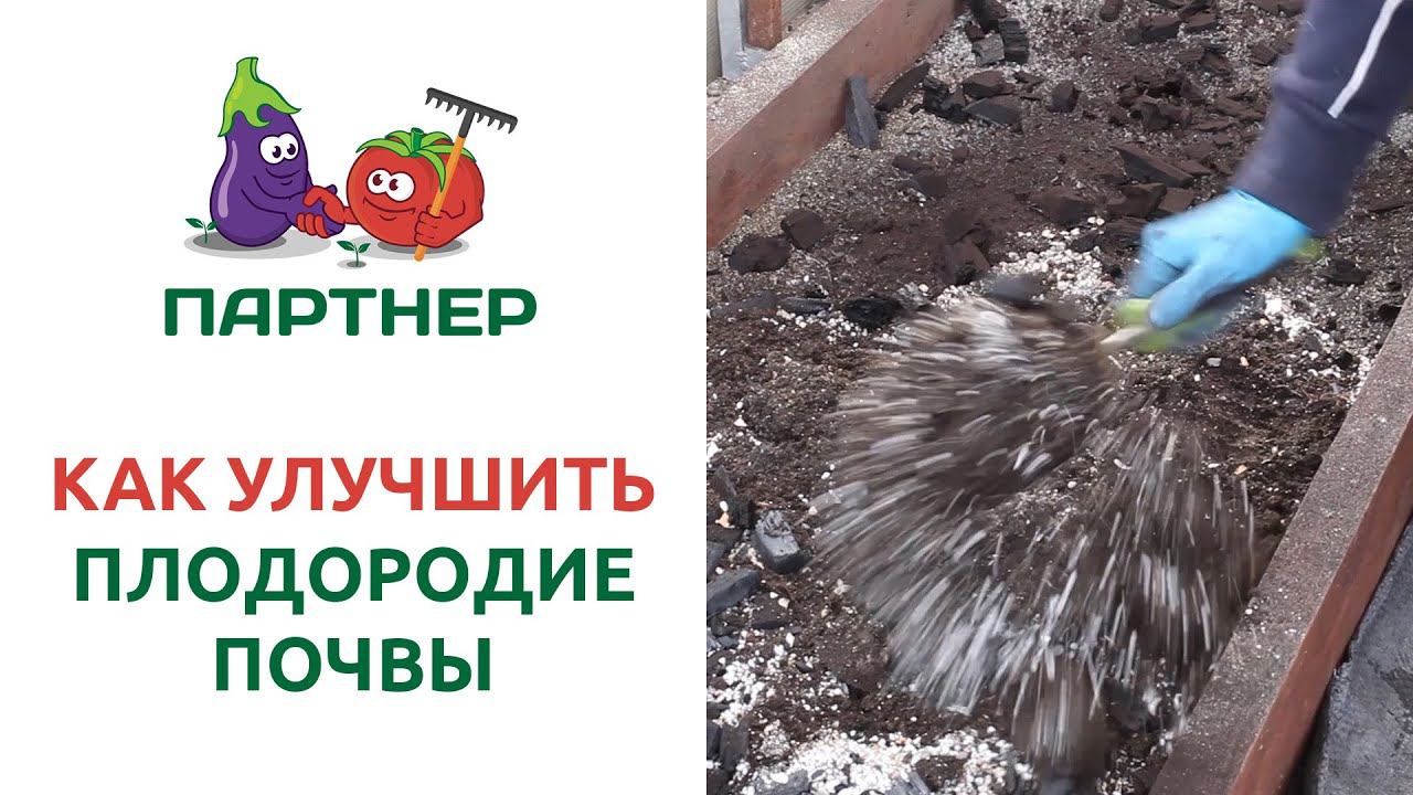 КАК УЛУЧШИТЬ ПЛОДОРОДИЕ ПОЧВЫ