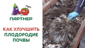 КАК УЛУЧШИТЬ ПЛОДОРОДИЕ ПОЧВЫ