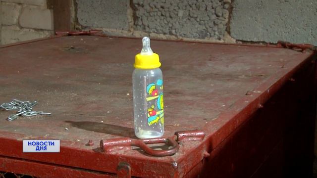 Контрабанда медвежат и спасение косолапых смотреть онлайн