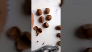 легко расколоть ФУНДУК(ОРЕХ)/польза ФУНДУКА/ХРАНЕНИЕ+фундук/колка ореха/+МЫСЛИ ВСЛУХ!!!