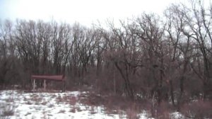 Видео охота на лосей с лайками