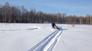 BRP summit 800 на охоте.