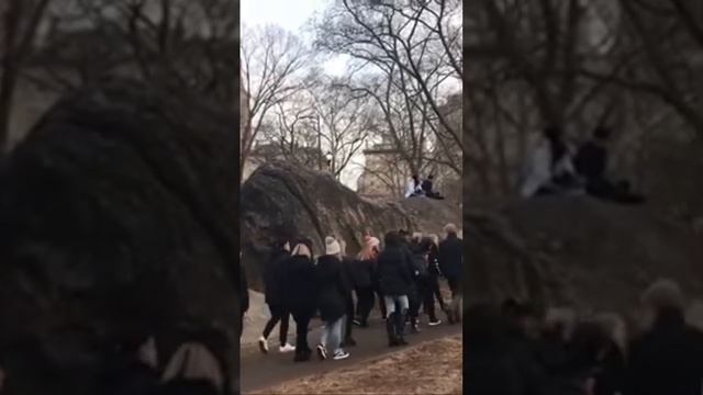 Центральный парк-любимое место отдыха ньюйоркцев и гостей Большого Яблока #центральныйпарк #ньюйорк