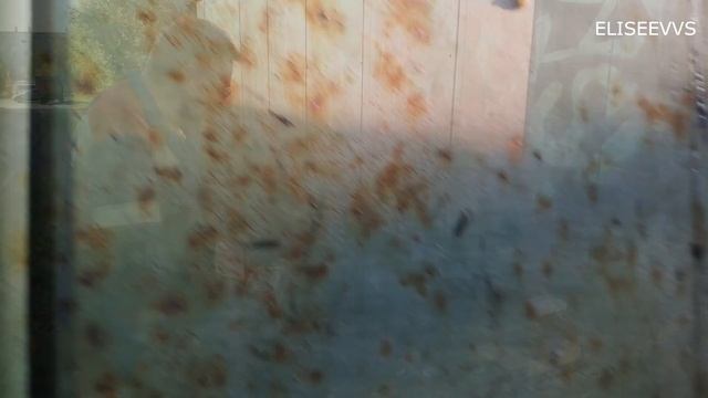 подъём металлического гаража на 50 см смотреть онлайн