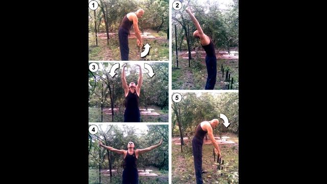 ЗОЛОТЫЕ УПРАЖНЕНИЯ КИТАЙСКОГО ЦИГУН.