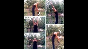 ЗОЛОТЫЕ УПРАЖНЕНИЯ КИТАЙСКОГО ЦИГУН.