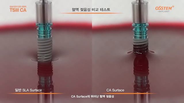 TSIII CA Презентация смотреть онлайн