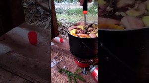 Куда поехать гулять в лес из Питера? | Эко тропа Юкковские камы.