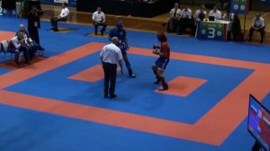 WAKO Kickboxing - EC 2014 - FINALS KL -94kg - Davidov(BUL) - Solovyev(RUS)