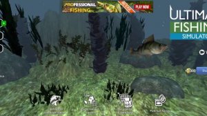 ГАЙД ДЛЯ НОВИЧКОВ - КАК ЗАРАБОТАТЬ МНОГО ДЕНЕГ - Ultimate Fishing Simulator #1