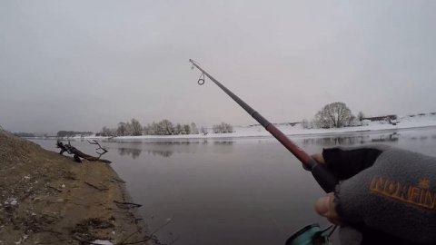 УЛОВИСТЫЕ Бутерброды.ПРИМАНКА на СУДАКА. #fishing #рыбалка #ловлясудака #рыбалка2023 #fisherman