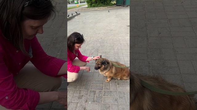 Нам собрали помощь 🙏🏻 смотреть онлайн