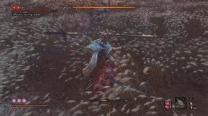 Иссин Асина мастер меча (без урона)