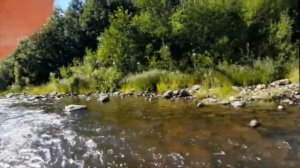 Сплав по реке Тихвинка 2020 (отрывочки)