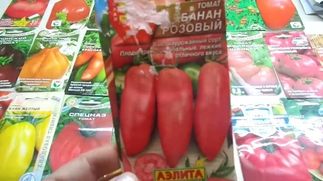 КАКИЕ СОРТА ТОМАТОВ Я БУДУ ВЫРАЩИВАТЬ В 2019 ГОДУ? Ольга Чернова. смотреть онлайн