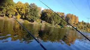 Ловля форели и карпа на платнике Красногорский. Полная версия.