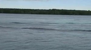 Лодка Regat 360 нднд под мотором 5 л с