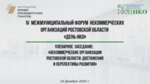 Некоммерческие организации Ростовской области достижения и перспективы развития