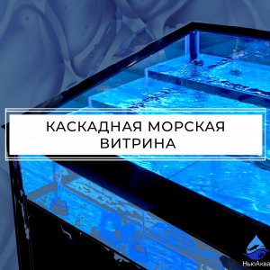 Каскадная морская витрина из стеклопакетов. Два аквариума в одном для разных морепродуктов.