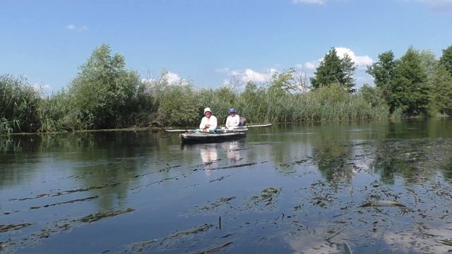 ЗОЖ|#вместеЗОЖ|ЛЕТО 2020| 4 ЧАСТЬ|ВВЕРХ ПО РЕКЕ ВОРОНЕЖ НА БАЙДАРКЕ| ФИЛАТОВКА-ГОРИЦЫ|КРАСИВЫЕ МЕСТ