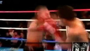Армянские боксеры Armenian boxers.avi