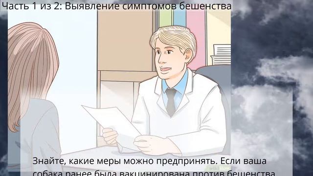Как определить бешенство у собаки