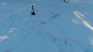 Первая Весенняя Рыбалка на Хариуса. Март 2023, а мороз давит! Рыбалка в Коми.