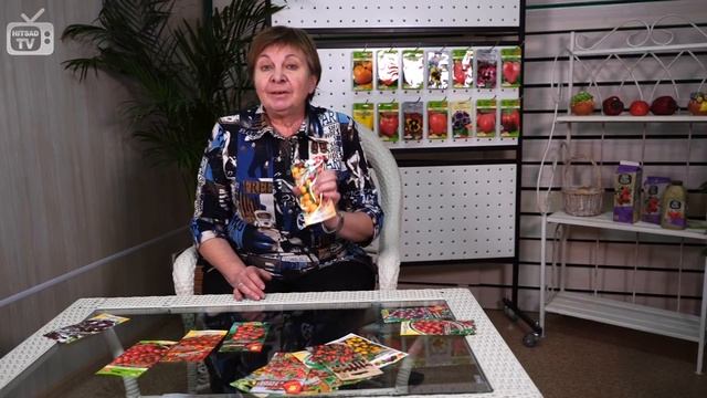 Томаты черри ? Высокорослые и горшечные томаты ? Обзор сортов от HitsadTV