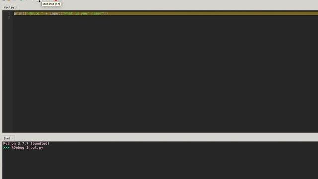 Lecture 4 - Ask for Input - Python Input Function