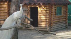 Солнечный остров, город Краснодар. (с) Кононов Юрий