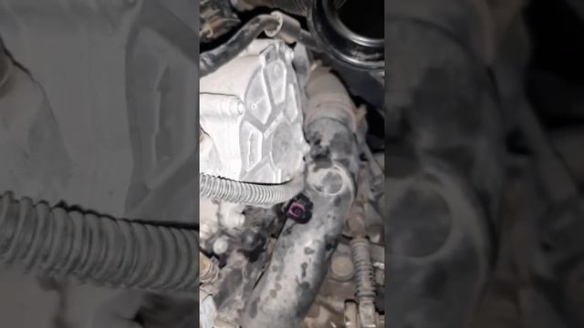 2016 VOLKSWAGEN CADDY 1.6TDI (AKILALMAZ ARIZA) BU OLAY SİZİN ARABANIZDA'DA OLUŞABİLİR смотреть онлайн