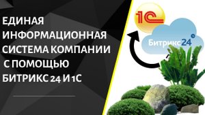 Единая информационная среда компании с помощью Битрикс24 и 1С. Интеграция CRM и учетной системы