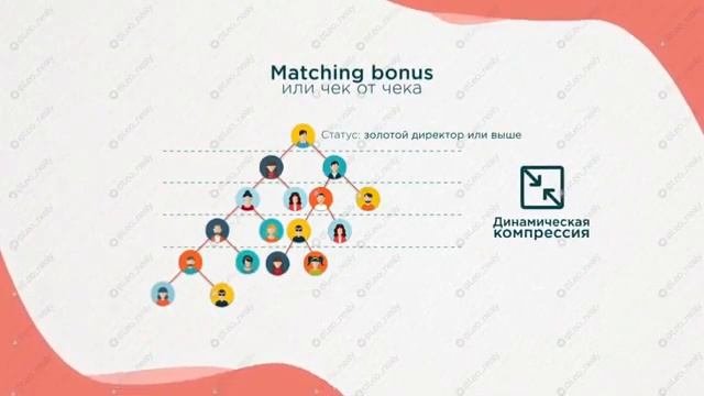 Маркетинг план Unifores