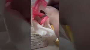 Как избавиться от крысы в помещении.