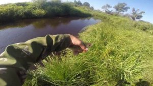 Как применить экстрактор для  снятия рыбы с крючка, видео rybachil.ru