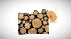 Тушда утин курса нима булиши хакида туш табири