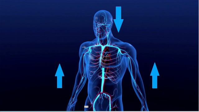 Направление движения ПОТОКОВ крови. Король орёл, Король орёл... смотреть онлайн