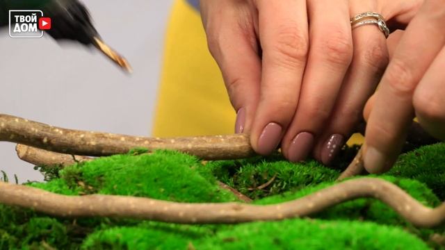 Цветочное панно и бонсай своими руками. Озеленяем гостиную. | Хозяйка дома