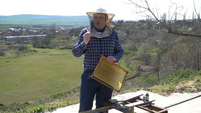 О пользе прополиса смотреть онлайн