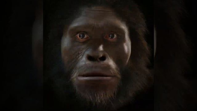 GO BACK I WANT TO BE MONKE (original)