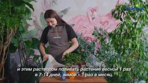 Fertika Kristalon для цитрусовых флакон