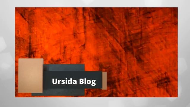 5 вопросов Анатолию Урсиде по статье на  сайте "Альтернатива"