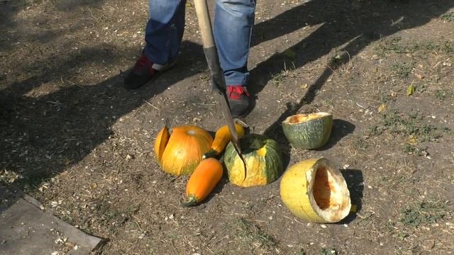 ОН ПЕРЕЕХАЛ В СЕЛО И ИГРАЕТ НА СКРИПКЕ КОРОВАМ! смотреть онлайн