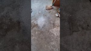 Химчистка самообслуживания , сэкономить время  при самостоятельной чистки автомобиля вашим клиентам