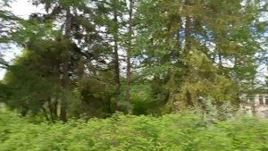 Рериховские места. (224) Кемцы: нет денег - нет упоминания