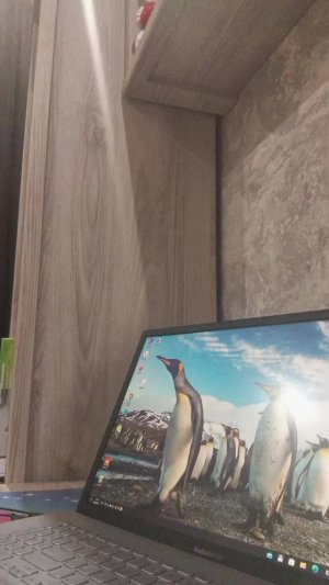 Играю на ноутбуке🌸